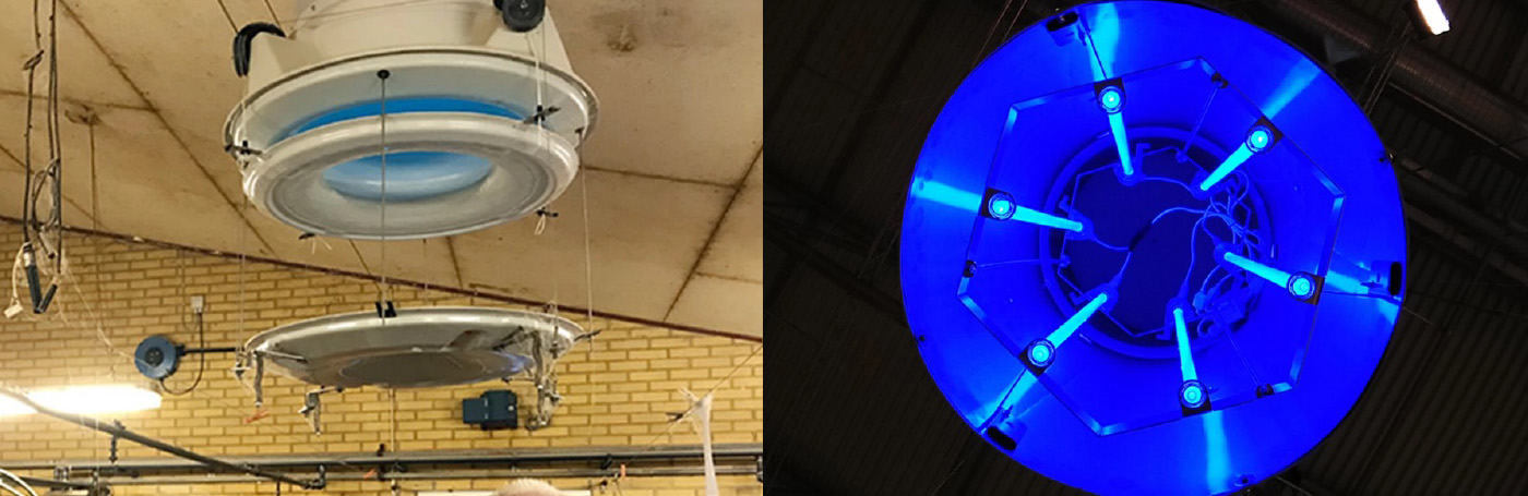Sistemas UV-C integrados en las entradas de ventilación que irradian el aire antes de entrar a la granja porcina